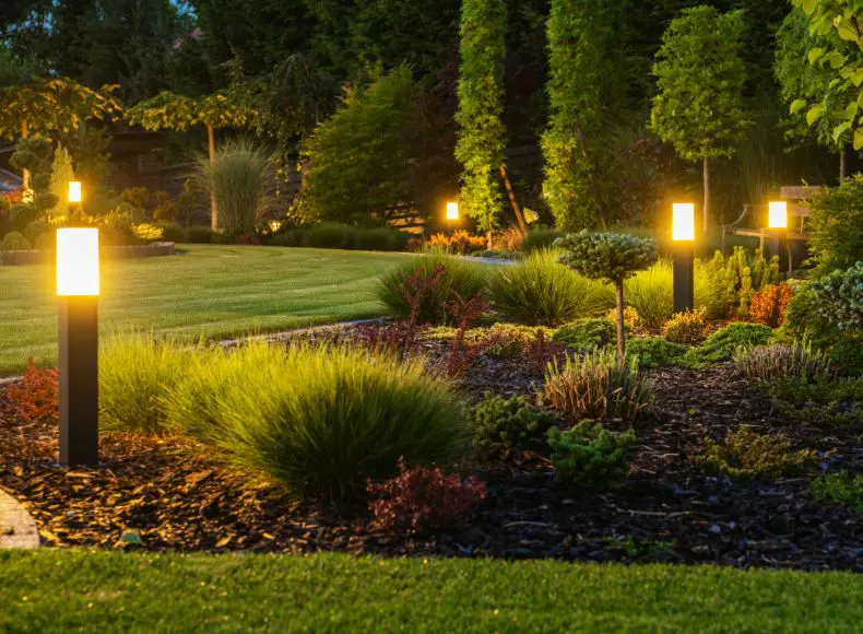 A garden with grass and bushes lit up at night.